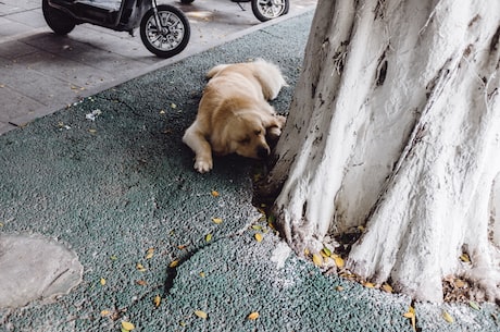 科普湖南在线网 共建共享