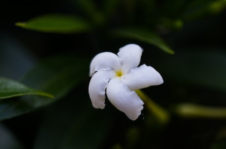 斯莱特林(斯莱特林国际儒商宋凌波：中西文化碰撞不是分割线，是连接线)