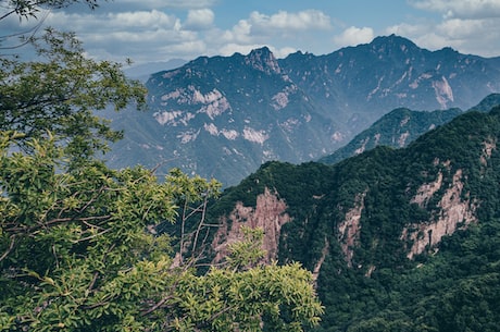 阳山农家乐(体验阳山农家乐，彻底解放压力!)