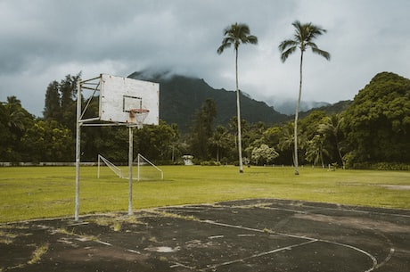 nba张伯伦(nba张伯伦：篮球巨人的传奇人生)