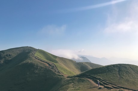 乡土树种(探秘中国乡土树种)