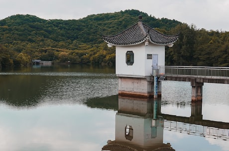 宁夏沙湖(探访宁夏沙湖：红黄相映，美不胜收)