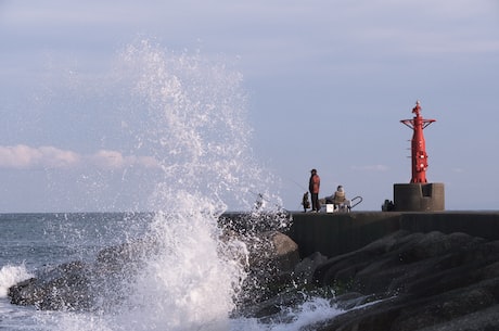 世界地球日海报(精选世界地球日海报，一起呼吁保护地球)