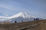 山东省寿光市(探寻山东省寿光市的优美之旅)