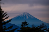 岳老三(岳老三在电视剧里的经典角色)