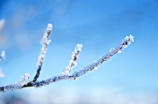 探秘雪花的形状